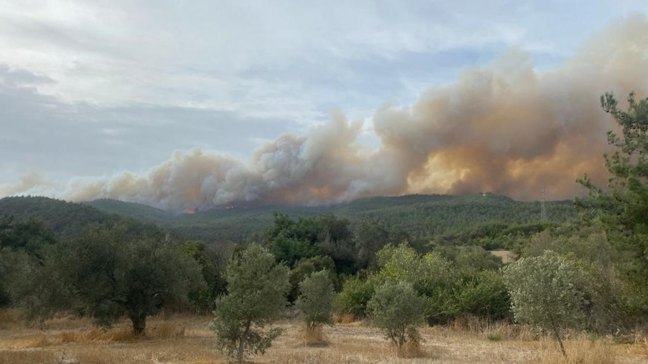 Ormanlık alanda yangın devam ediyor