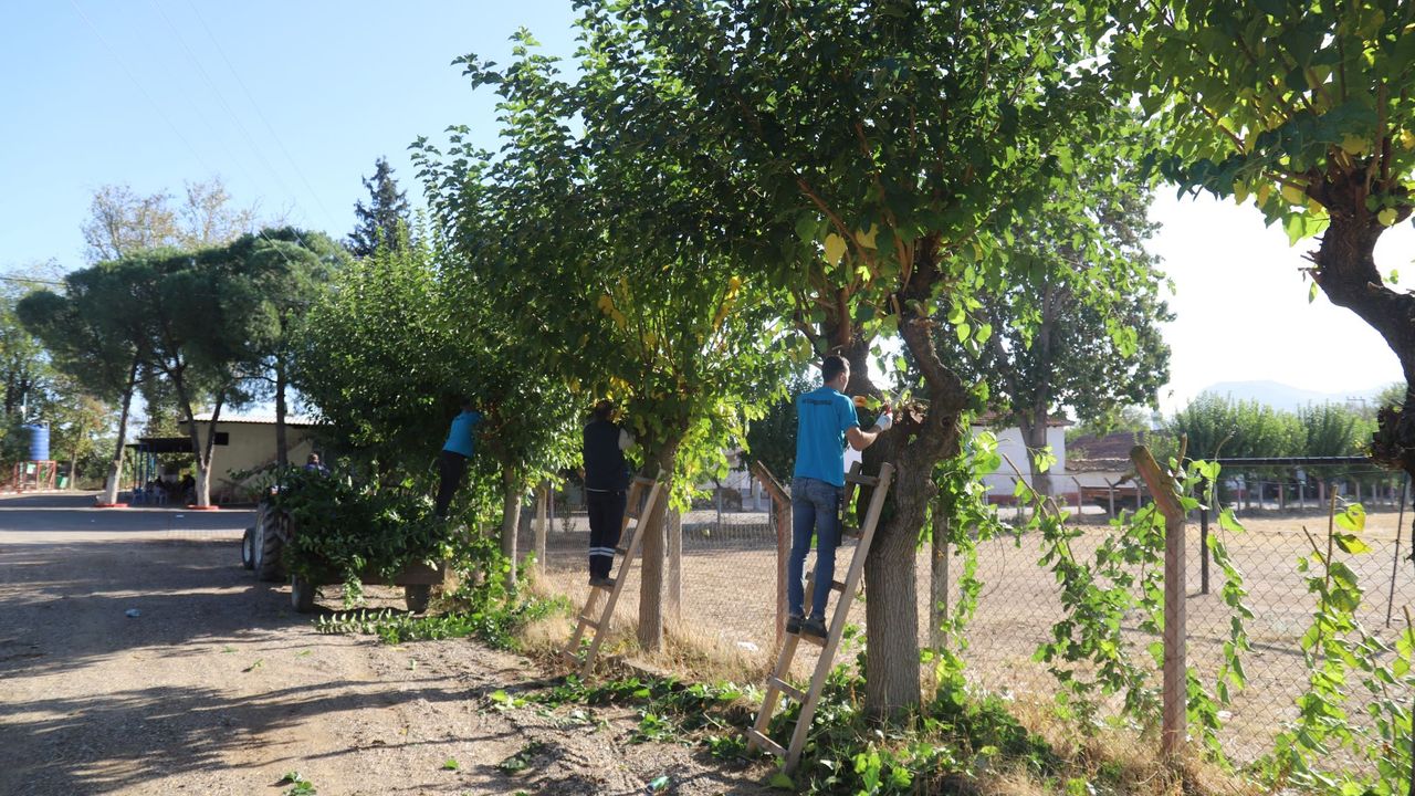 Turgutlu Belediyesi Park ve Bahçeler Müdürlüğü ekiplerinden yoğun mesai
