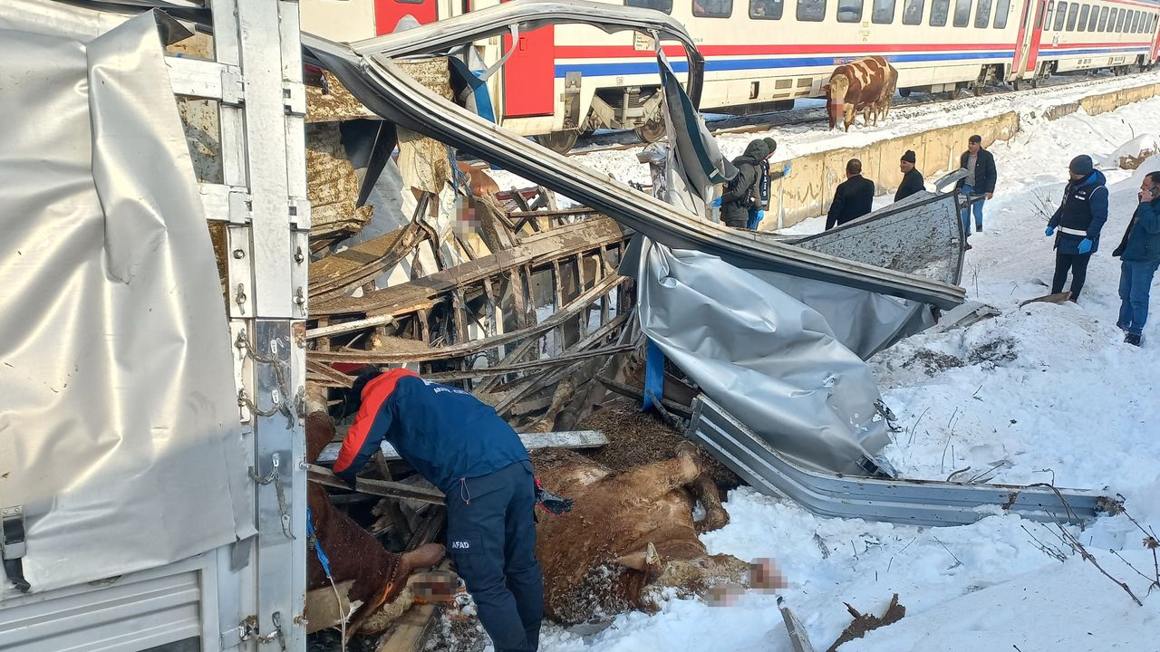 Hayvan yüklü tıra tren çarptı: Ölü ve yaralılar var - Manisa Meydan Gazetesi