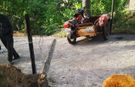 Manisa'da feci kaza: Ağaca çarpan sepetli motosikletin sürücüsü öldü!