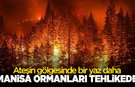 Ateşin gölgesinde bir yaz daha: Manisa ormanları tehlikede!