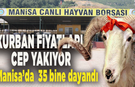 Kurban fiyatları cep yakıyor: Manisa’da kurbanlık fiyatları 35 bin liraya kadar dayandı