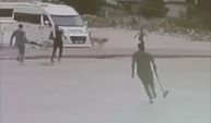 Sokak  köpekleri çocuğa saldırdı