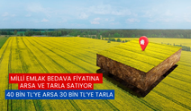 Milli Emlak Bedava Fiyatına Arsa ve Tarla Satıyor: 40 Bin TL'ye Arsa, 35 Bin TL'ye Tarla!