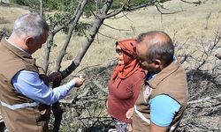 'Menengiçten Antep Fıstığına Giden Yol' Selendi’den geçiyor