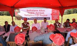 SOFRALARIN ALTINI YAĞLIK AYÇİÇEK YETİŞTİRİCİLİĞİ PROJESİ TARLA GÜNÜ