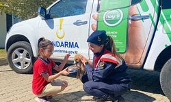 Manisa Jandarması Barınaktaki Hayvanları Unutmadı