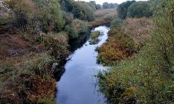 KURAKLIĞIN ETKİLİ OLDUĞU GEDİZ’DE YAĞIŞ BİR NEBZE DE OLSA RAHATLATTI  BÖYLE GİDERSE GEDİZ NEHRİ’Nİ KİRLİLİK BİTİRECEK