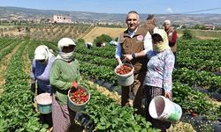 Tarım İl Müdürü Metin Öztürk’ten üreten çiftçilere teşekkür