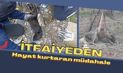 İtfaiyeden hayat kurtaran müdahale