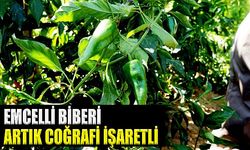 Emcelli Biberi'ne coğrafi mahreç işareti
