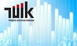 2022 Yılı Gelir Dağılımı İstatistikleri