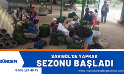 Sarıgöl'deki yapraklar kapış kapış satılıyor