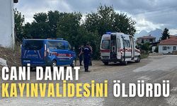 CANİ DAMAT KAYINVALİDESİNİ ÖLDÜRDÜ: ÖNCE BOĞAZINI KESTİ, SONRA...