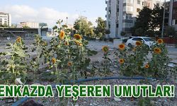 Enkazda yeşeren umutlar