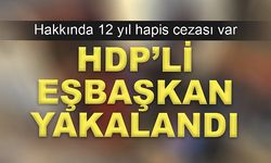 HDP'li eşbaşkana hapis yolu göründü