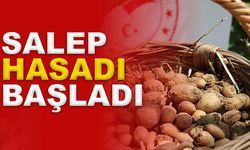 SALEP HASADI BAŞLADI