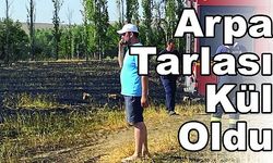 Arpa Tarlası Kül Oldu