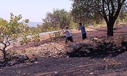 Çiftçinin Onca Yıllık Emeği Küle Döndü