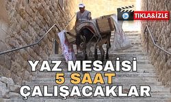 Mardin'de Eşeklere Yaz Mesaisi 5 Saat Çalışacaklar