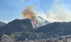 Amasya Kalesi'nde ormanlık alanda yangın