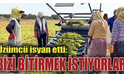 Üzümcü isyan etti: Bizi bitirmek istiyorlar