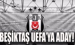 Beşiktaş UEFA'ya Aday Gösterildi