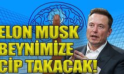 Elon Musk'ın şirketi onay aldı: Beyin çipi deneyleri başlıyor