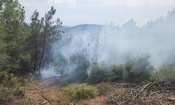 Gelibolu'da Orman Yangınına müdahale başladı