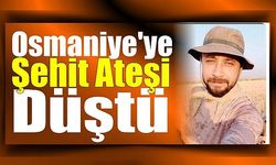 Osmaniye'ye Şehit Ateşi Düştü