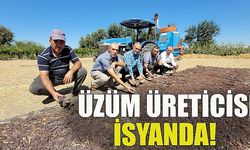 Üzüm üreticisi isyanda: 5 tona traktör alırken, şimdi 9 tona alamıyorum