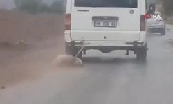 'Böyle Vahşet Olur mu?' Dedirtti!