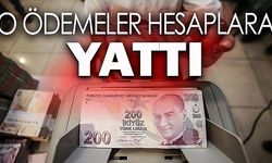 Destek Ödemeleri Hesaplara Yatırılmaya Başlandı