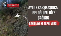 Karşılaştığı ayıyı "Oğlum gel" diye çağırdı