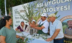 Manisa'da Başlayan Delice Zeytin Serüveni Ülkeye Yayılıyor