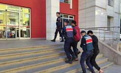 Manisa'da terör operasyonunda 2 şahıs yakalandı