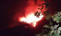 Yunusemre’de Orman Yangını