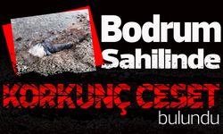 Bodrum Sahilinde üst bölgesi olmayan kadın cesedi bulundu