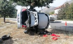 Ağaca saplanan araçta baba oğul can verdi