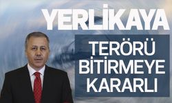 "Kahramanlar" operasyonuyla terör örgütüne büyük darbe