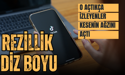 TikTok'ta canlı yayın da o açtı, izleyenler kesenin ağzını açtı