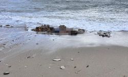 Denizde ve sahilde iki ceset bulundu