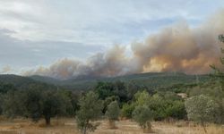 Çanakkale'de orman yangını...Bir köy boşaltıldı