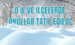 Hava koşulları eğitimi etkiledi! O il ve ilçelerde okullar tatil edildi