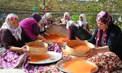 Manisa Demirci'nin "şifalı tarhanası" imeceyle hazırlanıyor