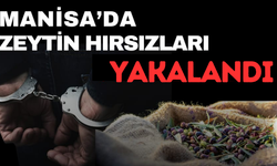 Zeytin hırsızları suçüstü yakalandı