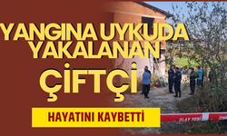 Yangına uykuda yakalanan çiftçi hayatını kaybetti