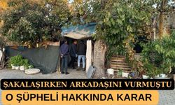 Şakalaşırken arkadaşını vuran şüpheli tutuklandı