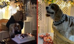 Köpeğinin doğum gününü böyle kutladı
