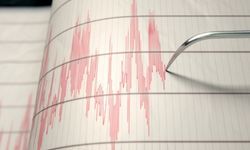 Google deprem uyarı sistemi nedir? Google depremi nasıl bildi?